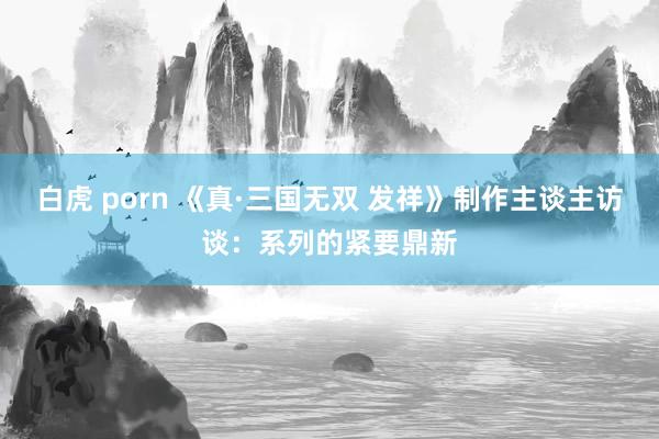 白虎 porn 《真·三国无双 发祥》制作主谈主访谈：系列的紧要鼎新
