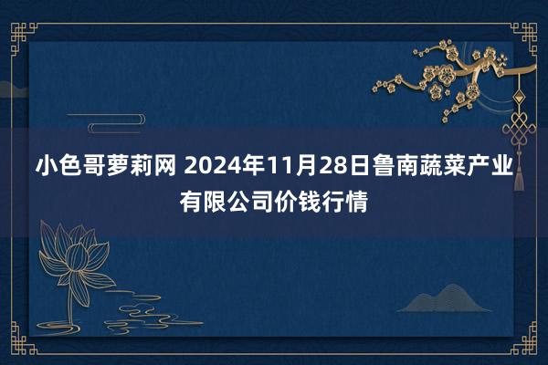 小色哥萝莉网 2024年11月28日鲁南蔬菜产业有限公司价钱行情