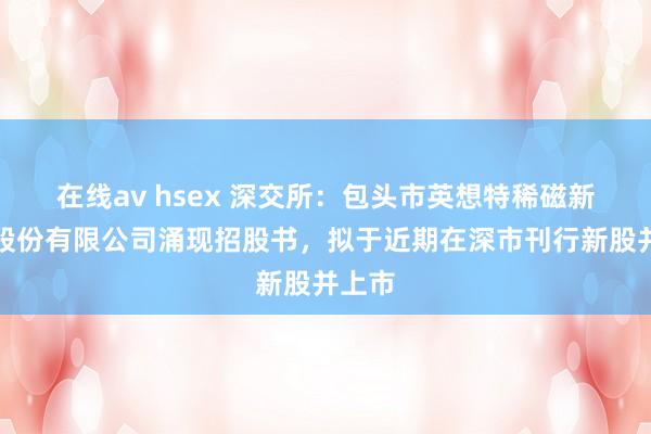 在线av hsex 深交所：包头市英想特稀磁新材料股份有限公司涌现招股书，拟于近期在深市刊行新股并上市