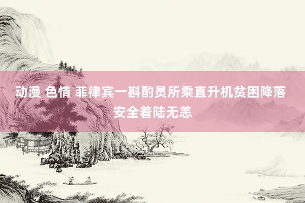 动漫 色情 菲律宾一斟酌员所乘直升机贫困降落 安全着陆无恙