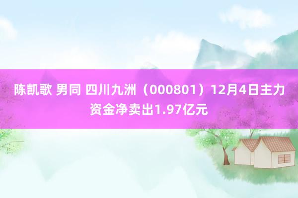 陈凯歌 男同 四川九洲（000801）12月4日主力资金净卖出1.97亿元