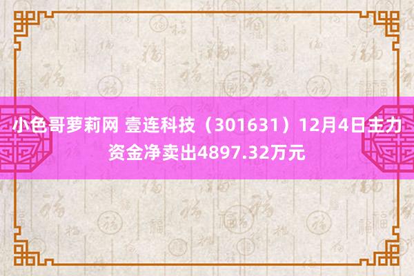 小色哥萝莉网 壹连科技（301631）12月4日主力资金净卖出4897.32万元