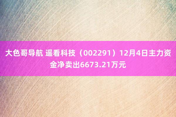 大色哥导航 遥看科技（002291）12月4日主力资金净卖出6673.21万元