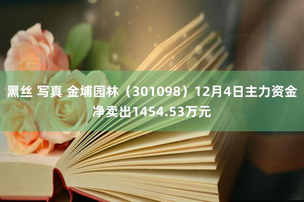 黑丝 写真 金埔园林（301098）12月4日主力资金净卖出1454.53万元