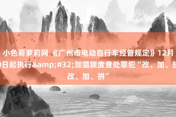 小色哥萝莉网 《广州市电动自行车经管规定》12月30日起执行&#32;加猖獗度查处罪犯“改、加、拼”