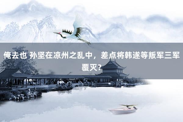俺去也 孙坚在凉州之乱中，差点将韩遂等叛军三军覆灭？