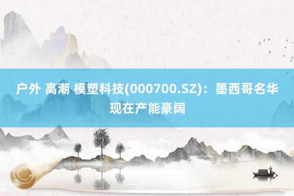 户外 高潮 模塑科技(000700.SZ)：墨西哥名华现在产能豪阔