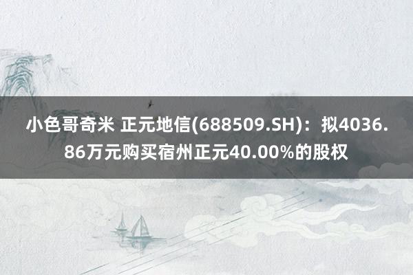 小色哥奇米 正元地信(688509.SH)：拟4036.86万元购买宿州正元40.00%的股权