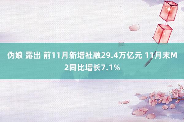 伪娘 露出 前11月新增社融29.4万亿元 11月末M2同比增长7.1%