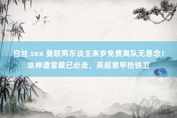 白丝 sex 曼联两东谈主来岁免费离队无悬念！埃神遭雪藏已必走，英超意甲抢铁卫