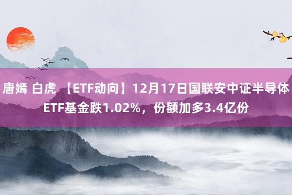 唐嫣 白虎 【ETF动向】12月17日国联安中证半导体ETF基金跌1.02%，份额加多3.4亿份