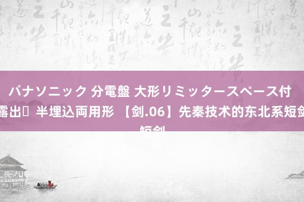 パナソニック 分電盤 大形リミッタースペース付 露出・半埋込両用形 【剑.06】先秦技术的东北系短剑