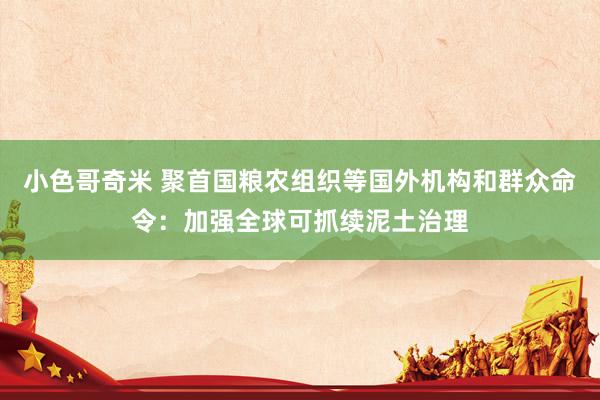 小色哥奇米 聚首国粮农组织等国外机构和群众命令：加强全球可抓续泥土治理