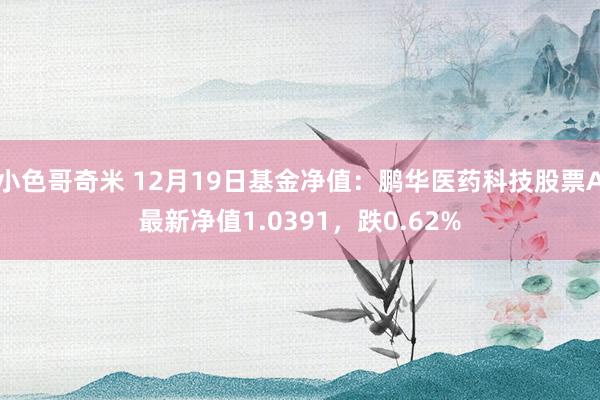 小色哥奇米 12月19日基金净值：鹏华医药科技股票A最新净值1.0391，跌0.62%
