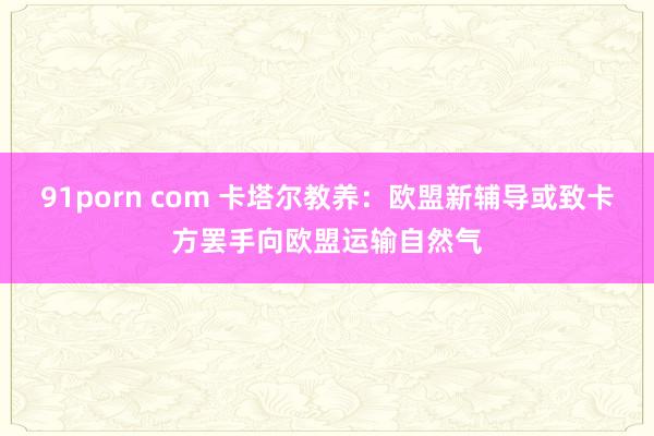 91porn com 卡塔尔教养：欧盟新辅导或致卡方罢手向欧盟运输自然气