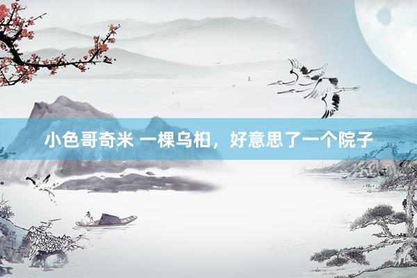 小色哥奇米 一棵乌桕，好意思了一个院子