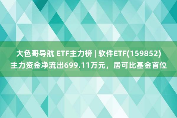 大色哥导航 ETF主力榜 | 软件ETF(159852)主力资金净流出699.11万元，居可比基金首位