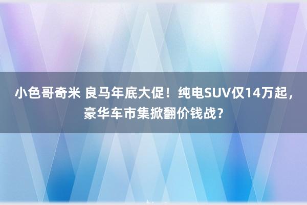 小色哥奇米 良马年底大促！纯电SUV仅14万起，豪华车市集掀翻价钱战？