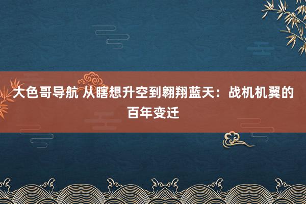 大色哥导航 从瞎想升空到翱翔蓝天：战机机翼的百年变迁