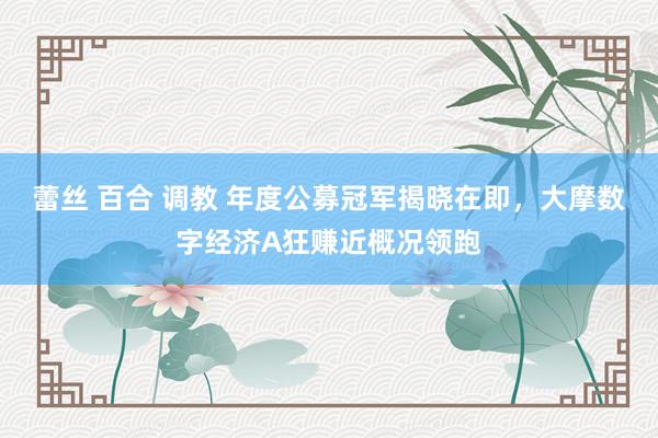 蕾丝 百合 调教 年度公募冠军揭晓在即，大摩数字经济A狂赚近概况领跑