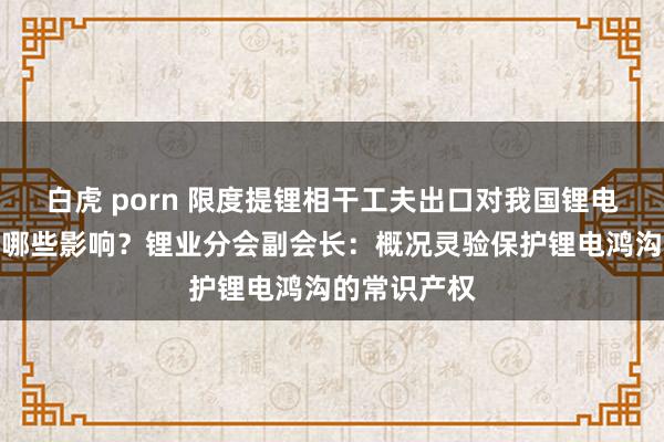 白虎 porn 限度提锂相干工夫出口对我国锂电产业发展有哪些影响？锂业分会副会长：概况灵验保护锂电鸿沟的常识产权