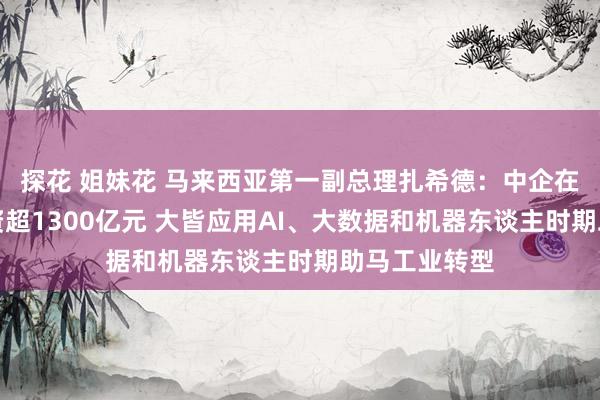 探花 姐妹花 马来西亚第一副总理扎希德：中企在马制造业投资超1300亿元 大皆应用AI、大数据和机器东谈主时期助马工业转型