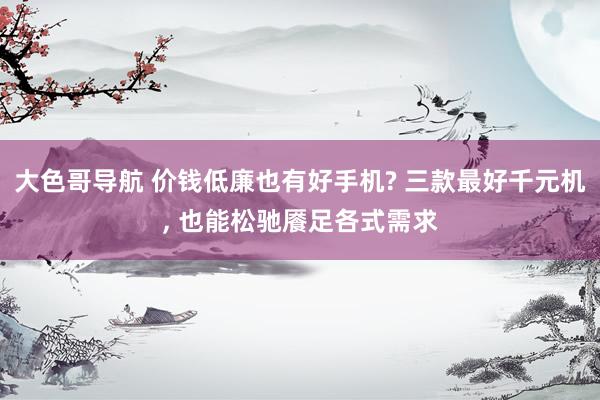 大色哥导航 价钱低廉也有好手机? 三款最好千元机， 也能松驰餍足各式需求