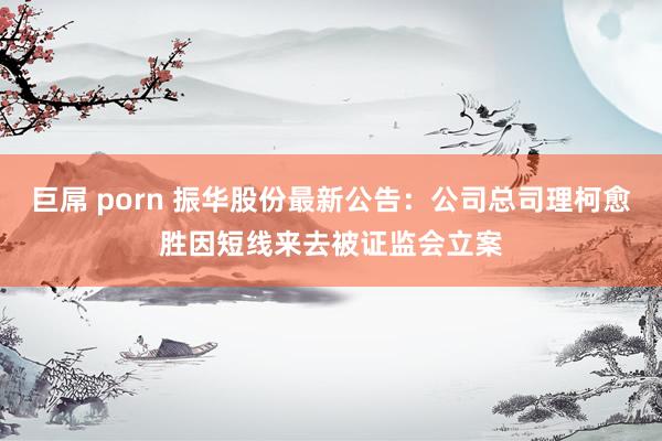 巨屌 porn 振华股份最新公告：公司总司理柯愈胜因短线来去被证监会立案