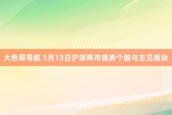 大色哥导航 1月13日沪深两市强势个股与主见板块