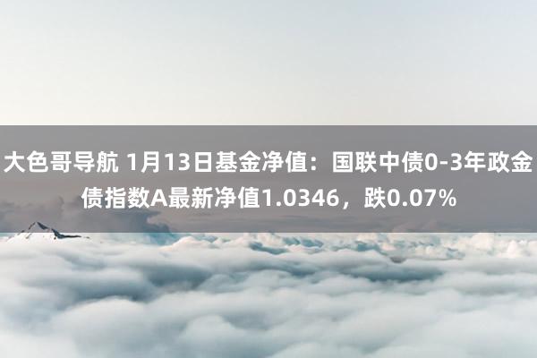 大色哥导航 1月13日基金净值：国联中债0-3年政金债指数A最新净值1.0346，跌0.07%