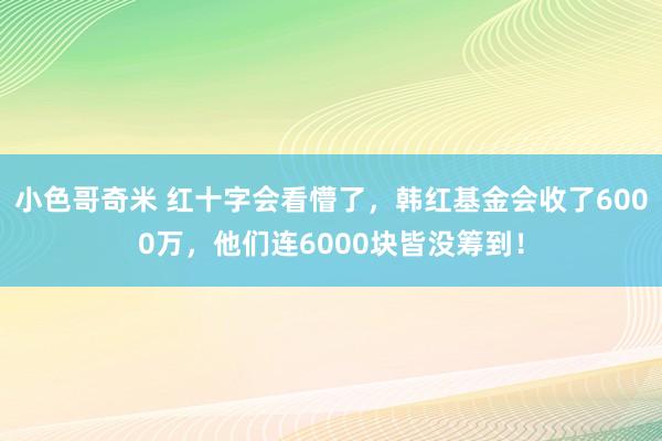 小色哥奇米 红十字会看懵了，韩红基金会收了6000万，他们连6000块皆没筹到！