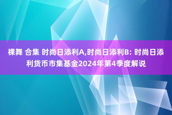 裸舞 合集 时尚日添利A，时尚日添利B: 时尚日添利货币市集基金2024年第4季度解说