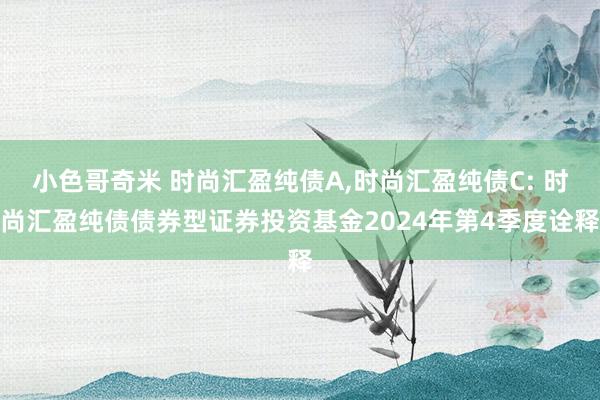小色哥奇米 时尚汇盈纯债A,时尚汇盈纯债C: 时尚汇盈纯债债券型证券投资基金2024年第4季度诠释
