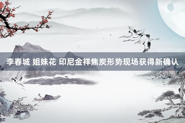 李春城 姐妹花 印尼金祥焦炭形势现场获得新确认