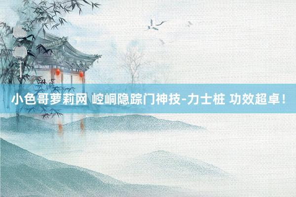 小色哥萝莉网 崆峒隐踪门神技-力士桩 功效超卓！