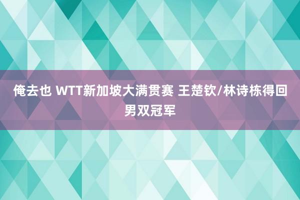 俺去也 WTT新加坡大满贯赛 王楚钦/林诗栋得回男双冠军