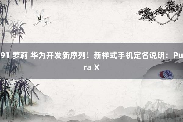 91 萝莉 华为开发新序列！新样式手机定名说明：Pura X