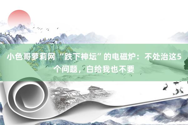 小色哥萝莉网 “跌下神坛”的电磁炉：不处治这5个问题，白给我也不要