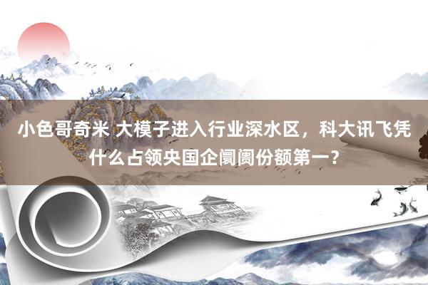 小色哥奇米 大模子进入行业深水区，科大讯飞凭什么占领央国企阛阓份额第一？