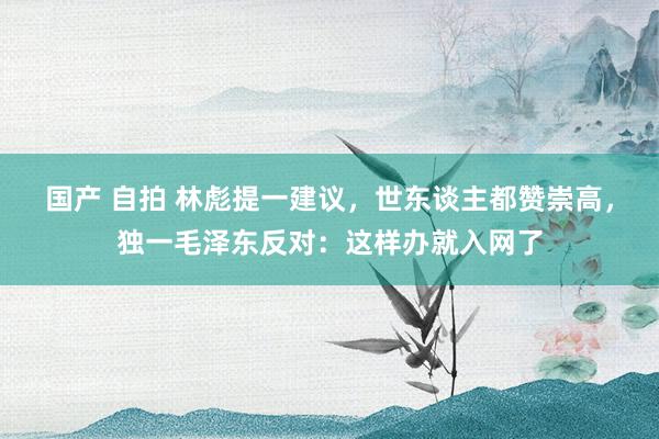 国产 自拍 林彪提一建议，世东谈主都赞崇高，独一毛泽东反对：这样办就入网了