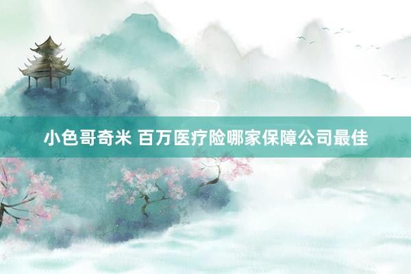 小色哥奇米 百万医疗险哪家保障公司最佳