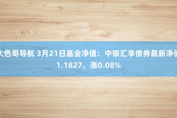 大色哥导航 3月21日基金净值：中银汇享债券最新净值1.1827，涨0.08%