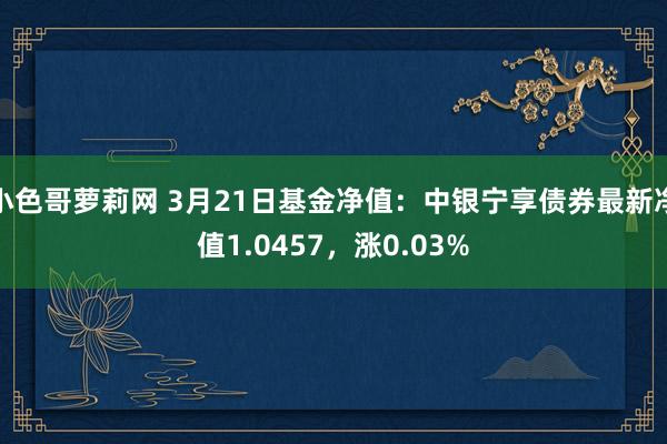 小色哥萝莉网 3月21日基金净值：中银宁享债券最新净值1.0457，涨0.03%