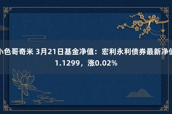小色哥奇米 3月21日基金净值：宏利永利债券最新净值1.1299，涨0.02%