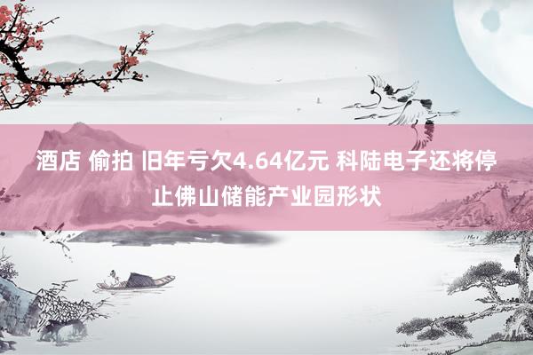 酒店 偷拍 旧年亏欠4.64亿元 科陆电子还将停止佛山储能产业园形状