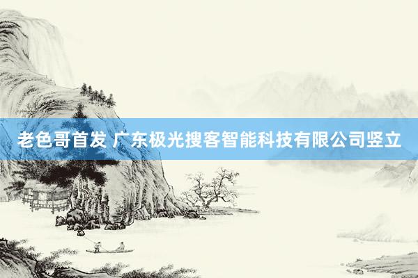 老色哥首发 广东极光搜客智能科技有限公司竖立