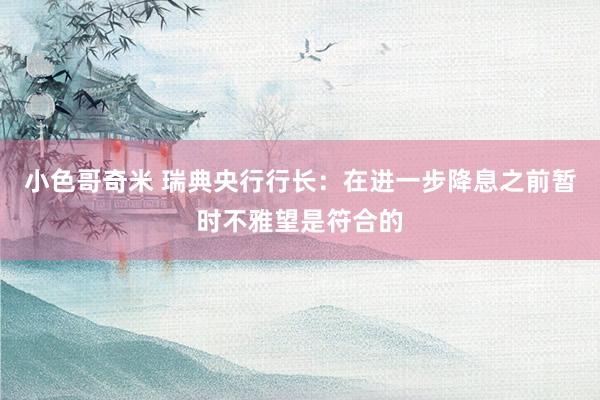 小色哥奇米 瑞典央行行长：在进一步降息之前暂时不雅望是符合的