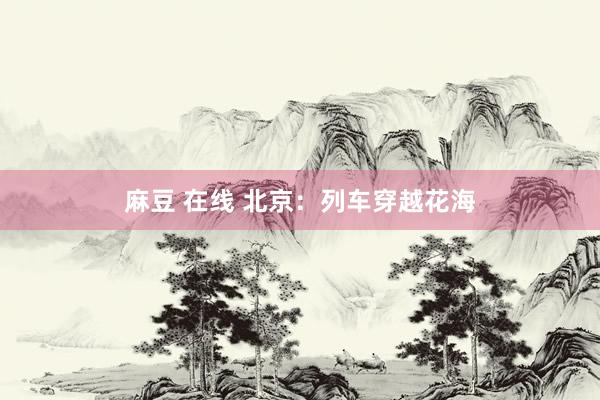 麻豆 在线 北京：列车穿越花海