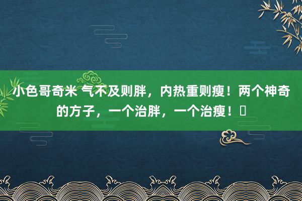小色哥奇米 气不及则胖，内热重则瘦！两个神奇的方子，一个治胖，一个治瘦！​