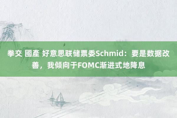 拳交 國產 好意思联储票委Schmid：要是数据改善，我倾向于FOMC渐进式地降息